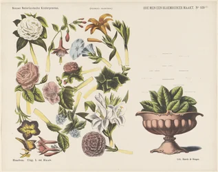 Sådan laver du en blomsterbuket / (1) (titel på objekt) Nye hollandske børnetryk (serietitel på objekt) Funkes print (serietitel på objekt)