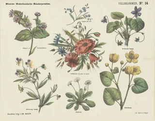 Vilde blomster (titel på objekt) Nye hollandske børnetryk (serietitel på objekt)