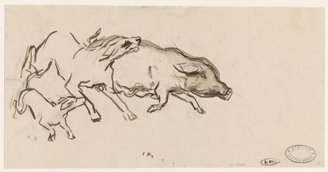 To hunde jagter en gris