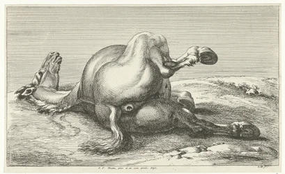 falden hest Dead Horses (serietitel)