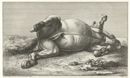 Død hest liggende på venstre side Dead Horses (serietitel)
