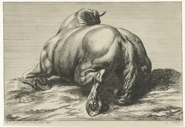 Faldet hest på maven set bagfra Dead Horses (serietitel)