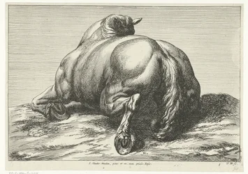 Faldet hest på maven set bagfra Dead Horses (serietitel)