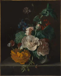 Blomsterstilleben med stokrose og morgenfrue