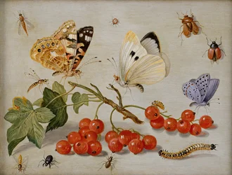 Et stilleben med kvist af røde ribs, sommerfugle, biller, larve og insekter (olie på kobber)