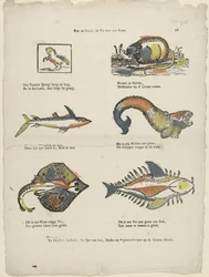 Rotte og hest, fisken med sin hale (titel på genstanden)