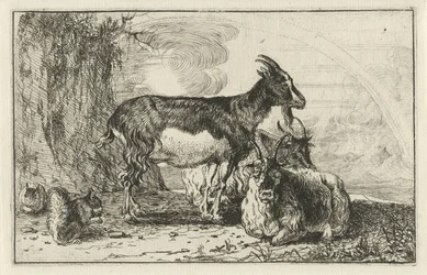 geder Dyr (serietitel) Zoographiam (serietitel)
