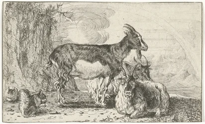 geder Dyr (serietitel) Zoographiam (serietitel)