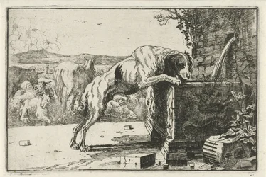 Hund ved et springvand Dyr (serietitel) Zoographiam (serietitel)