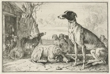 hundekennel Dyr (serietitel) Zoographiam (serietitel)