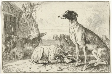 hundegård Dyr (serietitel) Zoographiam (serietitel)