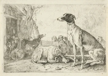 hundegård Dyr (serietitel) Zoographiam (serietitel)