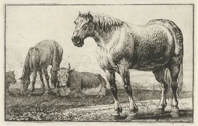Heste og køer Dyr (serietitel) Zoographiam (serietitel)