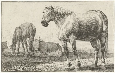 Heste og køer Dyr (serietitel) Zoographiam (serietitel)
