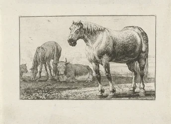 Heste og køer Dyr (serietitel) Zoographiam (serietitel)