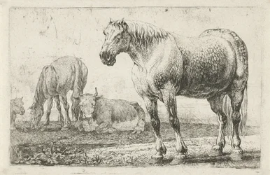 Heste og køer Dyr (serietitel) Zoographiam (serietitel)