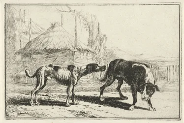 Hankøn og hunkøn Dyr (serietitel) Zoographiam (serietitel)