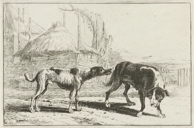 Hankøn og hunkøn Dyr (serietitel) Zoographiam (serietitel)