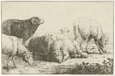 Får Dyr (serietitel) Zoographiam (serietitel)