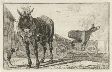 To æsler Dyr (serietitel) Zoographiam (serietitel)