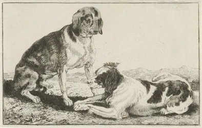 To hvilende hunde Dyr (serietitel) Zoographiam (serietitel)