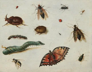 ""Insekter"" (Insekter) Maleri af Jan Van Kessel den ældre (1626-1679) Olie på træ Dim 13x16,5 cm Fondation Custodia