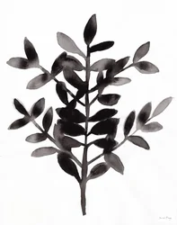 Botanisk med Nagi Fern III (blæk på papir)