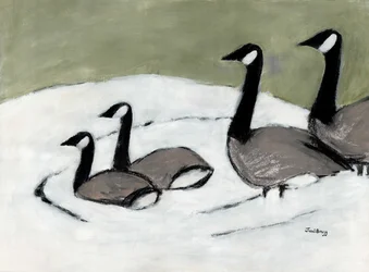 Canada Geese on David