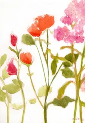 Blomster med orange og lyserøde roser, ca. 2024 (akvarel og kasein på papir)