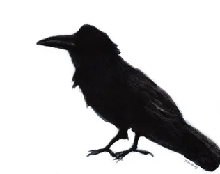 Raven at Baker Beach, ca. 2023 (blandede medier på papir)