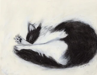 Thomas Taking a Nap, ca. 2018 (kul og pastel på papir)