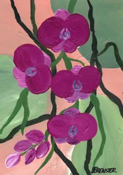 Magenta orkidéblomster