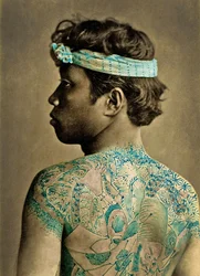 Portræt af en mand med traditionelle japanske Irezumi-tatoveringer, ca. 1880 (håndfarvet albuminfoto)