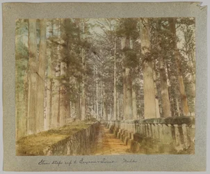 Stentrapper op til Ieyasus grav, Nikko, Japan (håndfarvet sort/hvid foto)