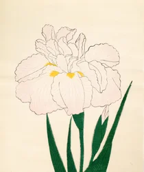 En-Yo-No-Ten, nr. 73, 1890 (træbloktryk i farver)