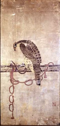 Falk. Japansk værk fra 1400-tallet af Daysen. Genova, Museo Chiossone.