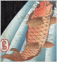 koi karper; pub. C. 1820