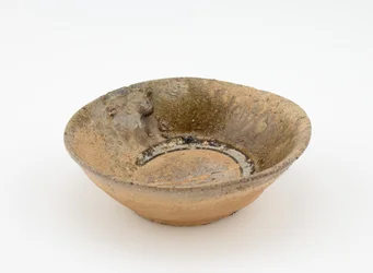 "Bjerg teskål"