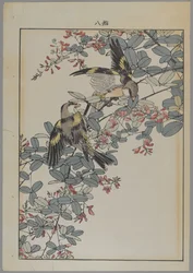 To fugle med lyserøde blomster, Meiji-perioden, ca. 1868-1912 (træblok i farver)