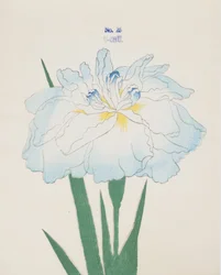 Hmmm, af. 25, 1898