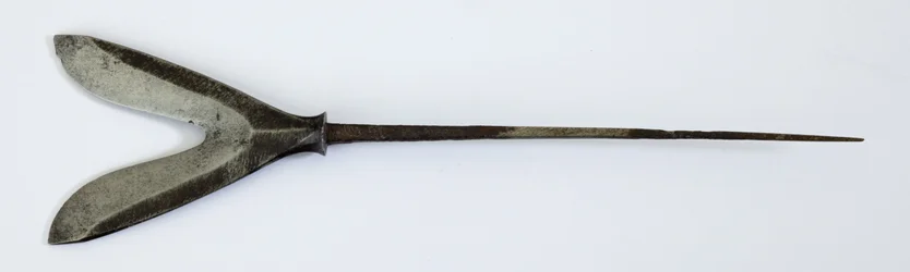 Yanone (pilespids) af Karimata (gaflet 
