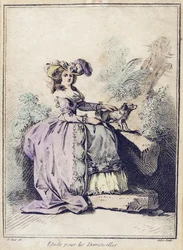 Studie for demoisellerne