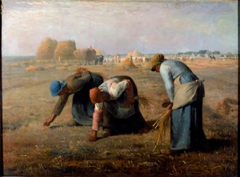 Gleanerne