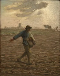 Såmanden