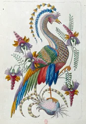 Fantastisk fugl. Tegningen kommer fra en kinesisk vase. Maleri af Jean Antoine Fraisse (1700-tallet)