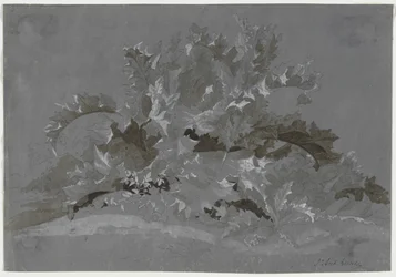 Studie af ukrudt, 1800-1850.