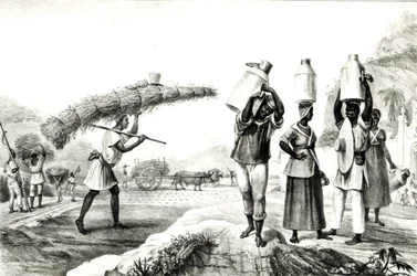 Mælke- og Capim-sælgere, fra 
