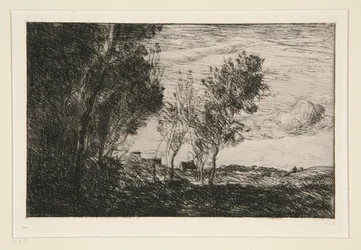 Dans les Dunes: souvenir du bois de la Haye (In The Dunes: Memory of the Woods of the Hague)