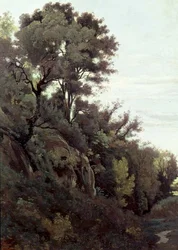 Marino - Træer og klipper