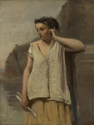 Musen: Historie, ca. 1865.
